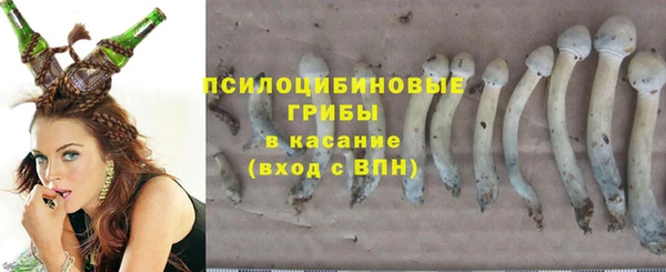 СК Гусев