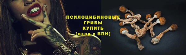 винт Гусиноозёрск