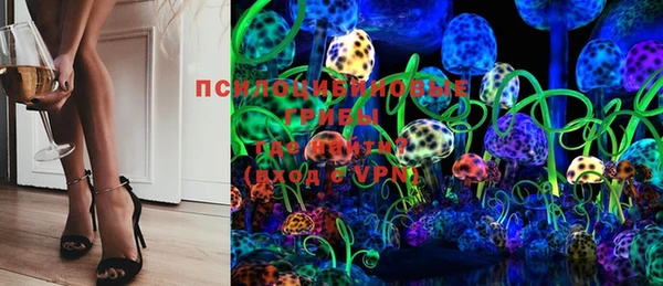 винт Гусиноозёрск