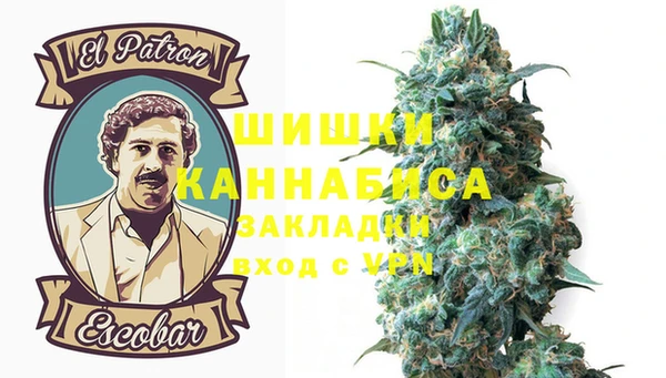 СК Гусев