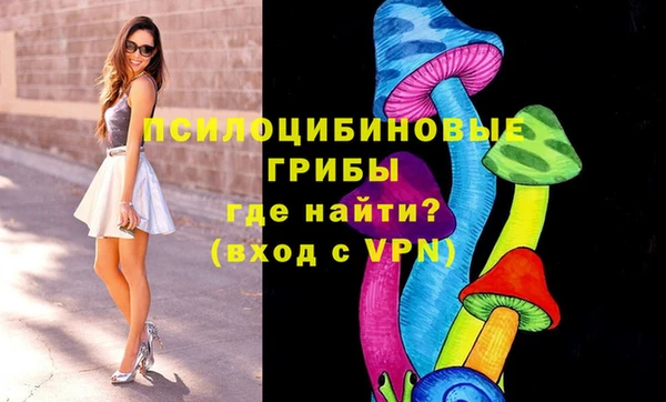 apvp Гусь-Хрустальный