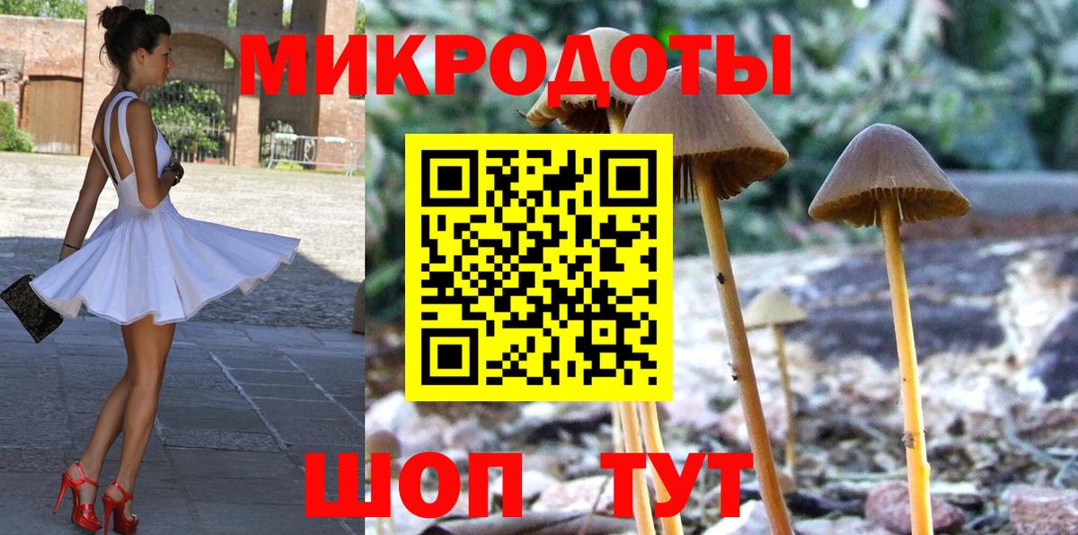 Галлюциногенные грибы Psilocybe Елабуга