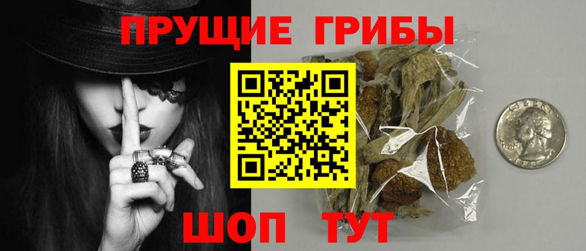 Псилоцибиновые грибы GOLDEN TEACHER Елабуга