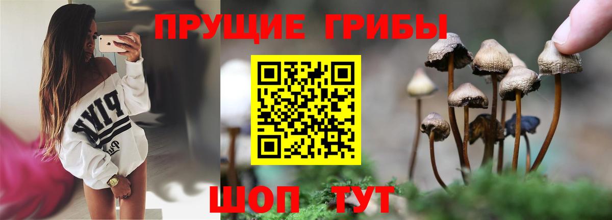 Галлюциногенные грибы MAGIC MUSHROOMS  Елабуга 